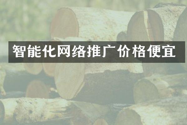 智能化网络推广价格便宜