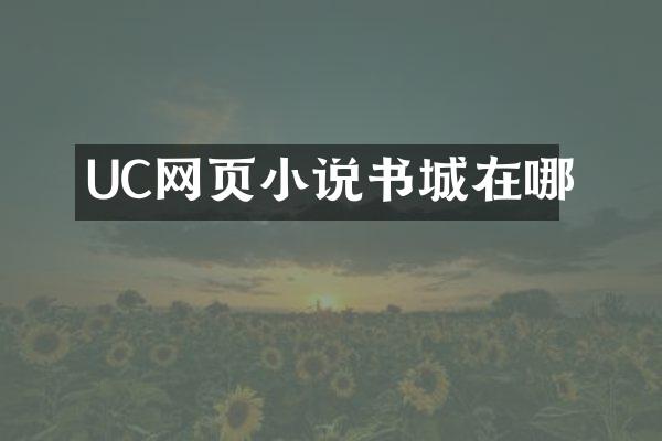 UC网页小说书城在哪