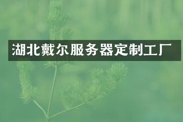 湖北戴尔服务器定制工厂