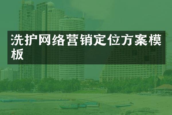 洗护网络营销定位方案模板