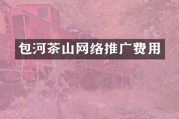 包河茶山网络推广费用