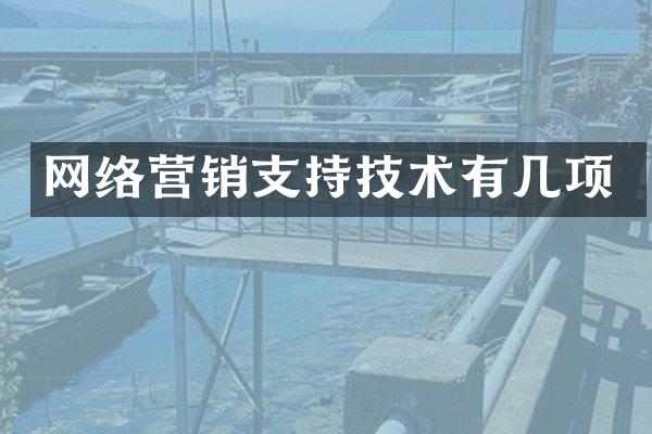 网络营销支持技术有几项