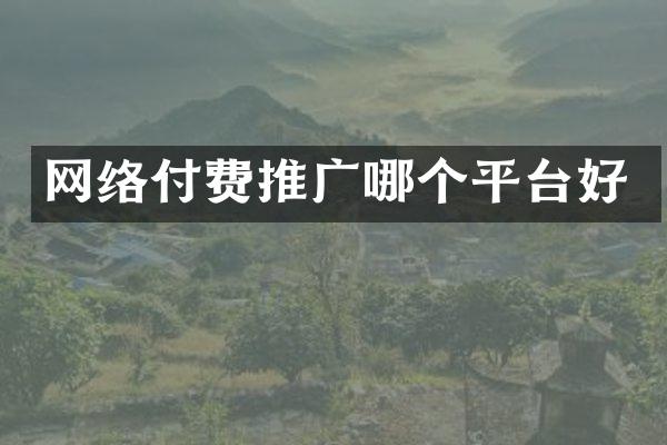 网络付费推广哪个平台好