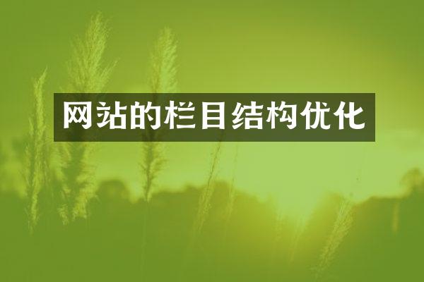 网站的栏目结构优化