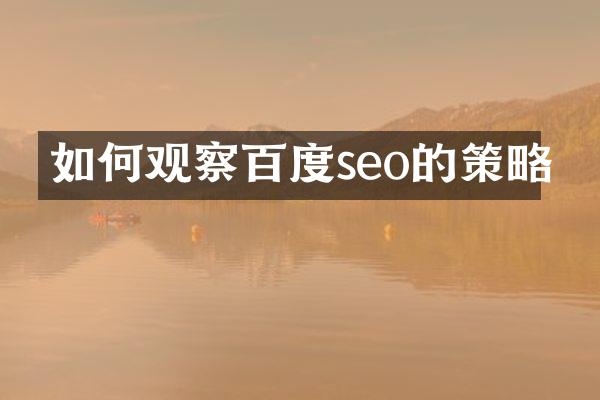 如何观察百度seo的策略