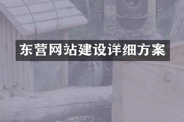 东营网站建设详细方案