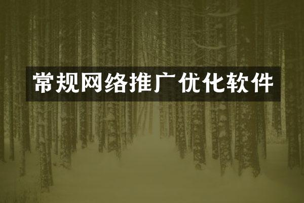 常规网络推广优化软件