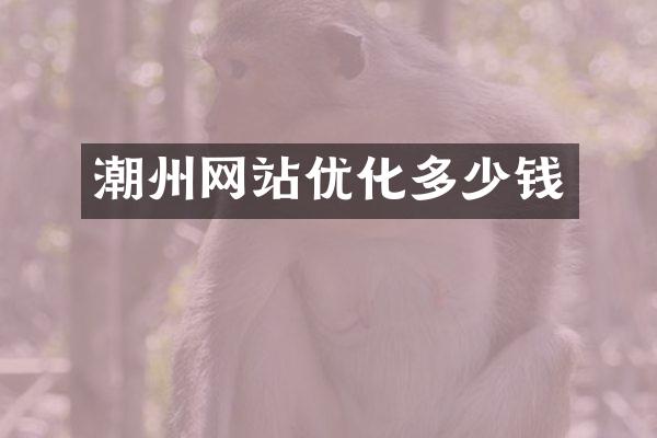 潮州网站优化多少钱