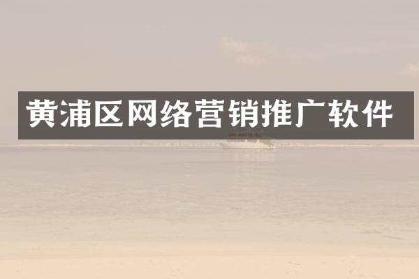 黄浦区网络营销推广软件