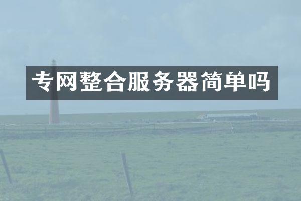 专网整合服务器简单吗
