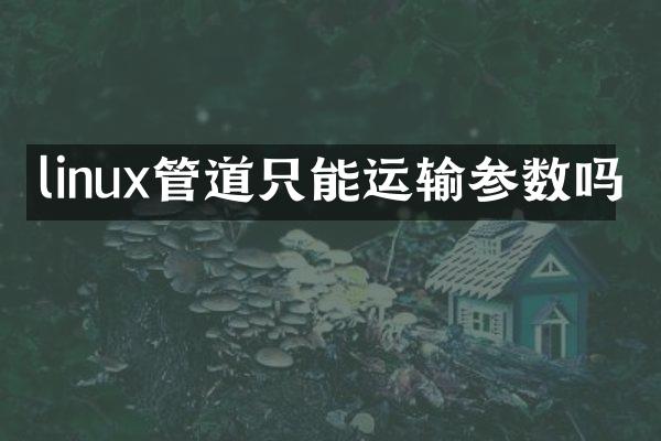 linux管道只能运输参数吗