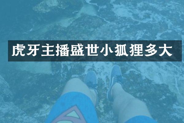 虎牙主播盛世小狐狸多大