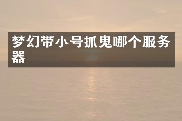 梦幻带小号抓鬼哪个服务器