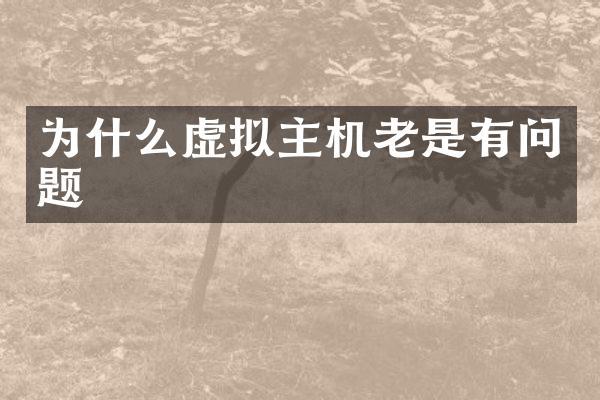 为什么虚拟主机老是有问题