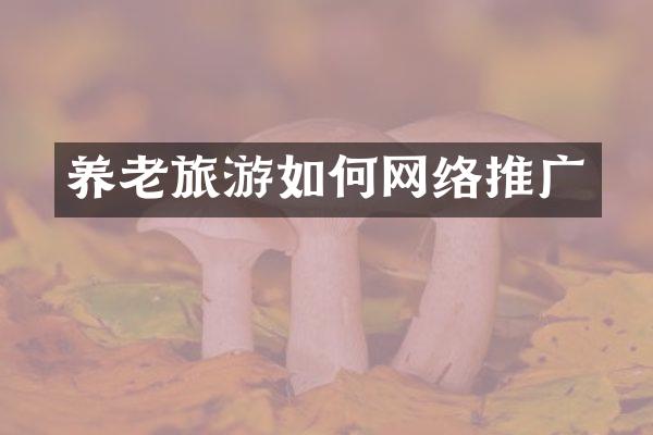 养老旅游如何网络推广