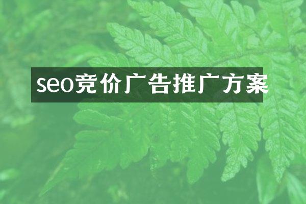 seo竞价广告推广方案