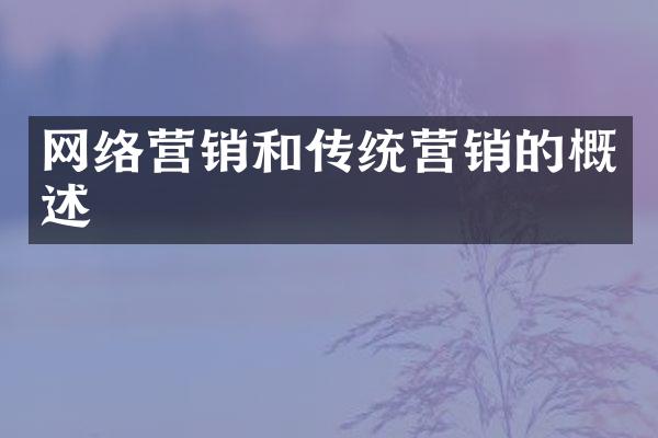 网络营销和传统营销的概述