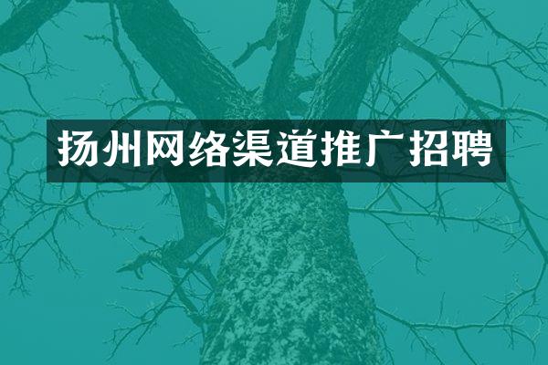 扬州网络渠道推广招聘