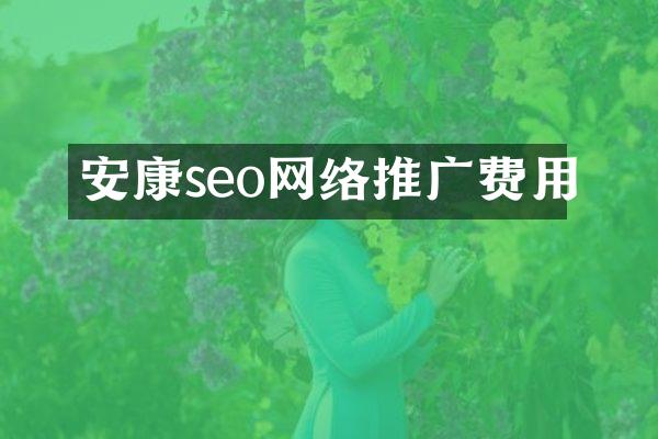 安康seo网络推广费用