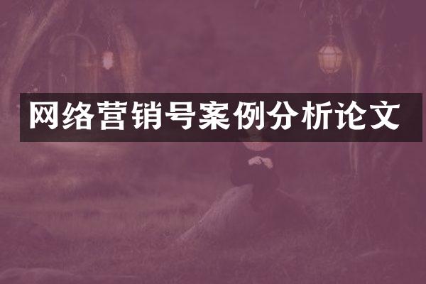 网络营销号案例分析论文
