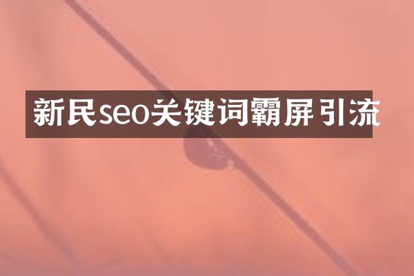 新民seo关键词霸屏引流