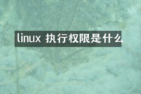 linux 执行权限是什么