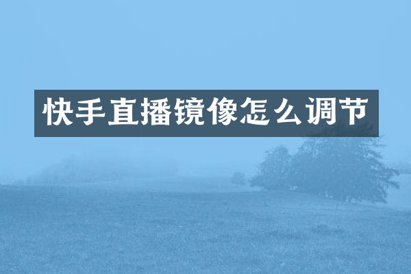 快手直播镜像怎么调节