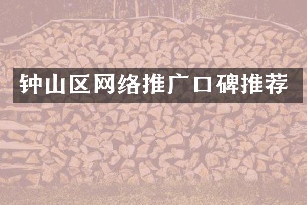 钟山区网络推广口碑推荐