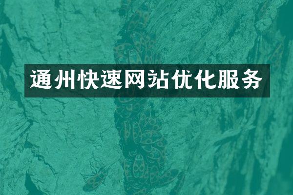 通州快速网站优化服务
