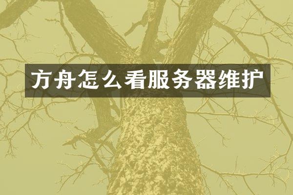 方舟怎么看服务器维护