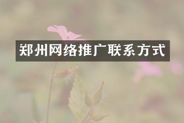 郑州网络推广联系方式