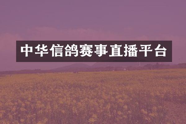 中华信鸽赛事直播平台