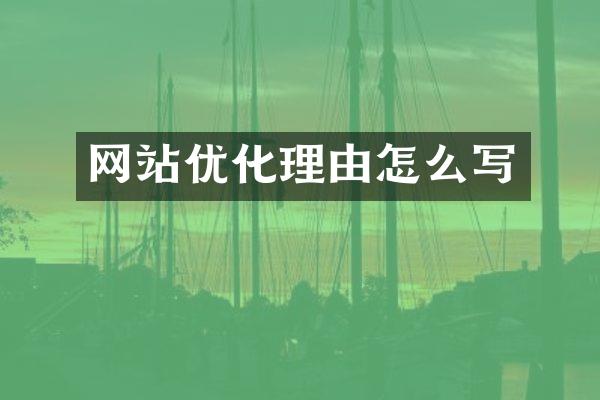 网站优化理由怎么写
