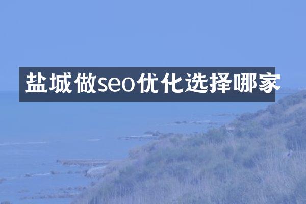 盐城做seo优化选择哪家