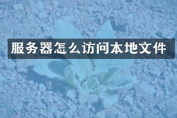 服务器怎么访问本地文件