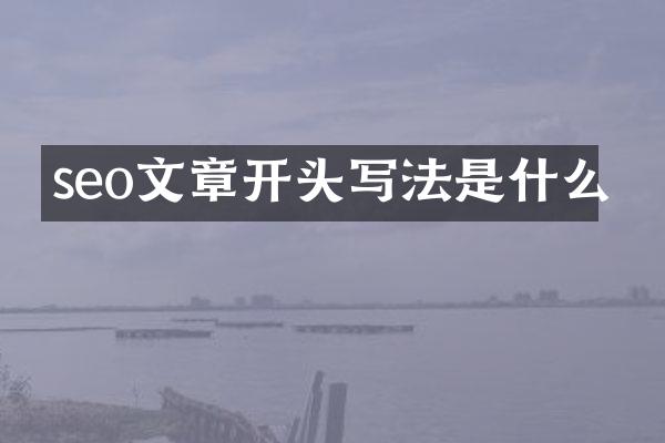seo文章开头写法是什么