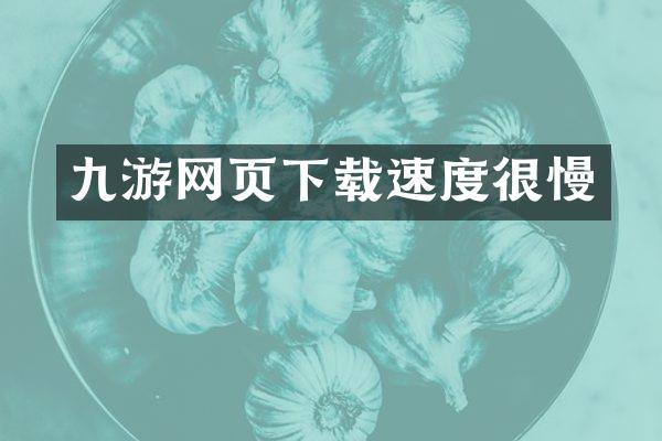 九游网页下载速度很慢