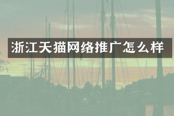 浙江天猫网络推广怎么样
