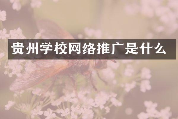 贵州学校网络推广是什么