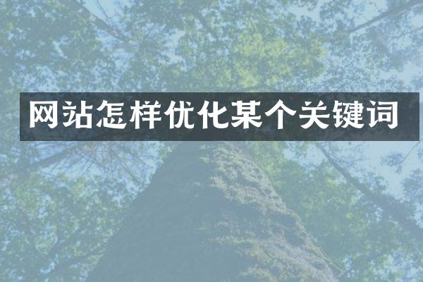 网站怎样优化某个关键词