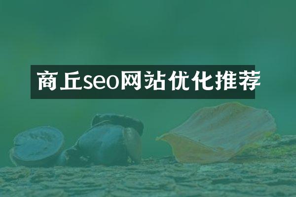 商丘seo网站优化推荐