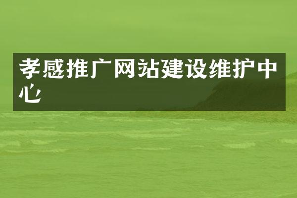 孝感推广网站建设维护中心