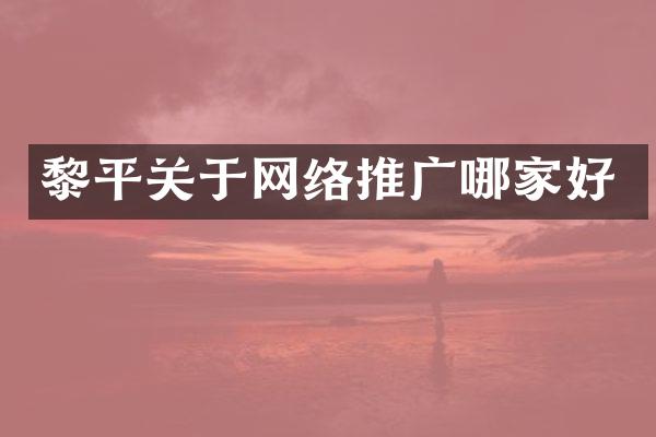 黎平关于网络推广哪家好
