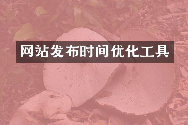 网站发布时间优化工具