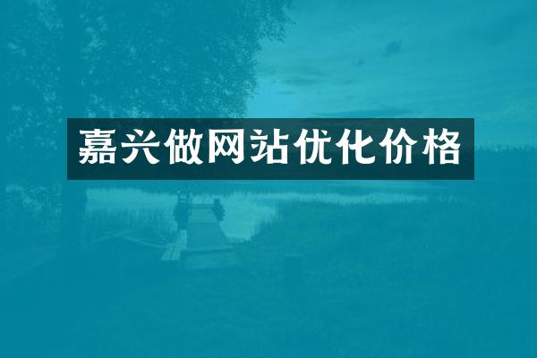 嘉兴做网站优化价格