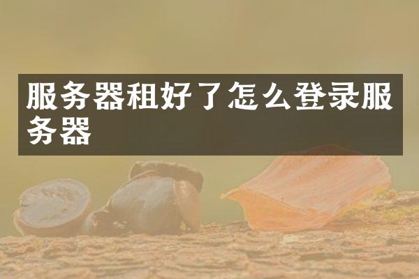 服务器租好了怎么登录服务器