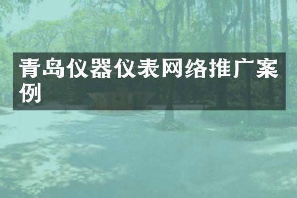 青岛仪器仪表网络推广案例