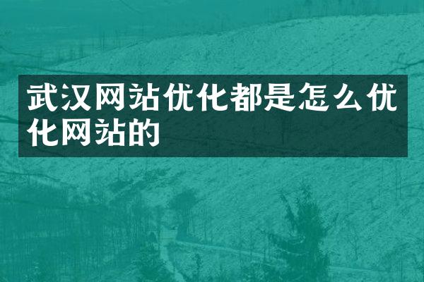 武汉网站优化都是怎么优化网站的