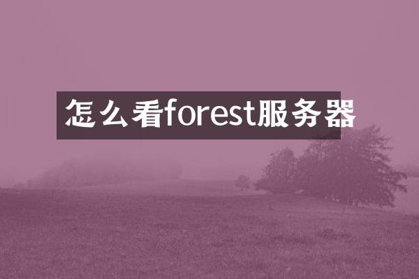 怎么看forest服务器