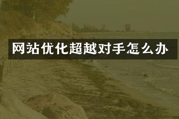 网站优化超越对手怎么办
